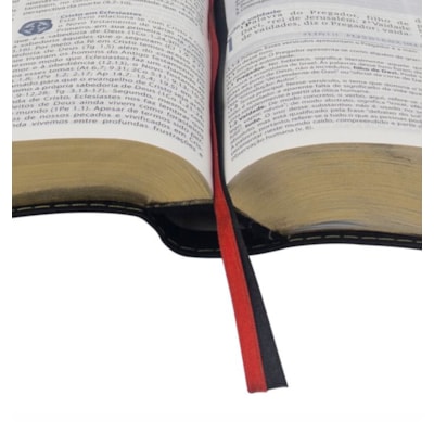 image_19b55110-47c2-4ec5-8032-1c1d347816fb