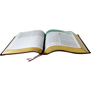 Bíblia de Estudo de Genebra | Letra Normal | ARA | Capa Vinho Nobre Luxo