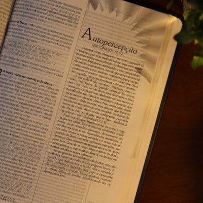 image_dad1ba31-8d2b-47c0-b0d9-46b57f9313c5