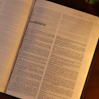 image_50aa13de-d772-475f-9b58-6a98a18dc1c7