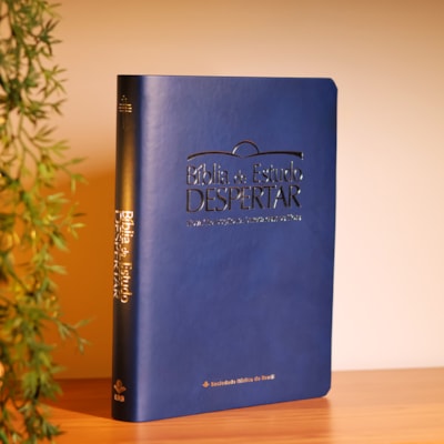 image_0d8fbc3c-1f67-42d4-bbc8-0d6098cff27b