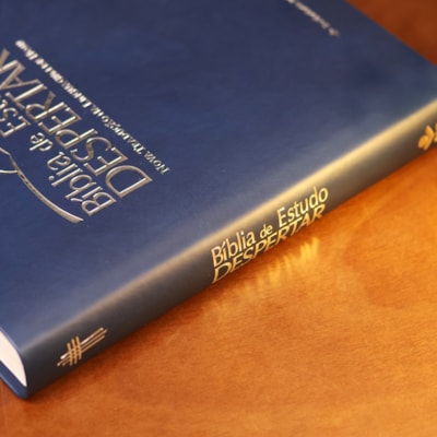 image_2037ac19-4313-4032-ab7c-8ae810b43a9e