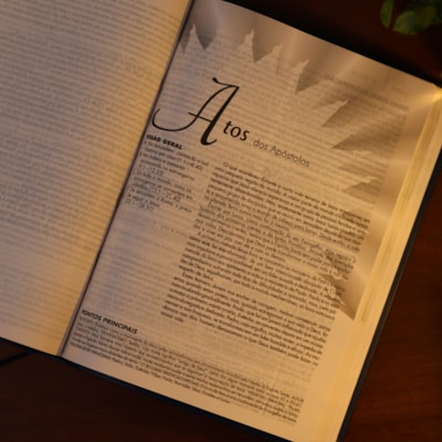 image_c91c438c-1f39-4331-85c9-f61c90662931