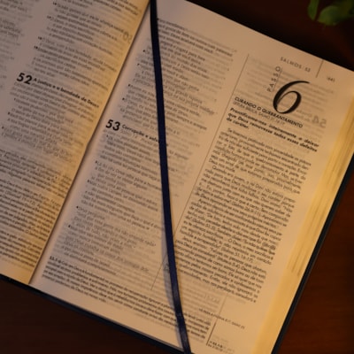 image_7b1c2046-06ba-4a4c-85c9-54a8779d2d4c