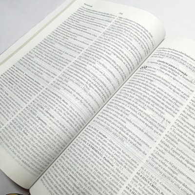 image_af0b46de-924f-4aef-84dd-b0c6da49f0b3