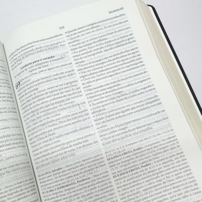 image_98a5f6fe-b5b5-49ee-ad47-f43b6c6d991e