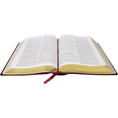 image_4f366ebb-c9fe-4c62-852a-133cbfd8219f