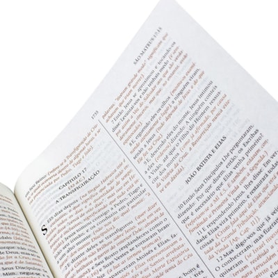 image_ad43a907-d86a-46e9-b198-ec529d49d901