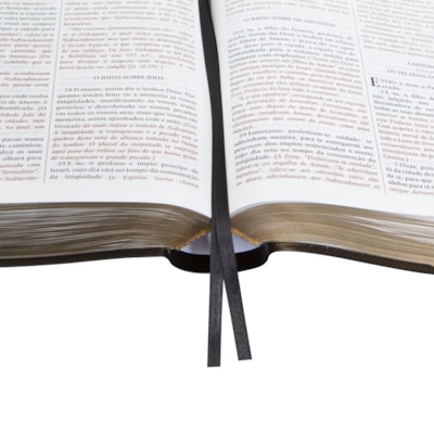 image_dcdb58fc-8031-4d9f-863e-f8a18234e242