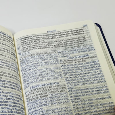 image_dafc5829-8c0b-4cf1-90e5-f424ae5a6b85