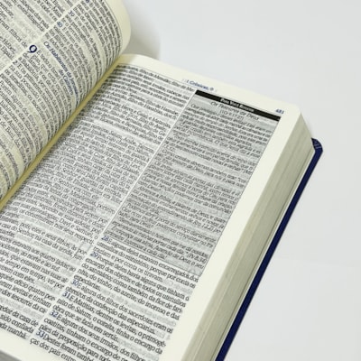 image_b44fbb9b-8630-4caa-a5fc-2057f29302c4