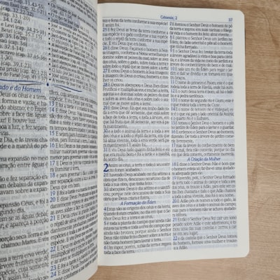 image_a86fab22-2921-4639-88fd-ec4680c5ba50