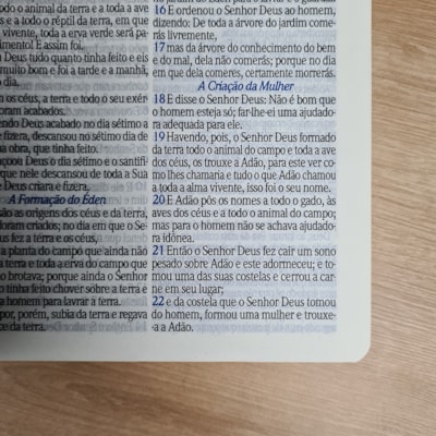 image_03104490-761e-4a6d-95c3-f6315fa43e07