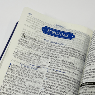 image_e56eae86-2974-4cb4-a989-178144221d2b