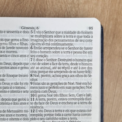 image_e435aabb-3786-498c-8647-69f3ee38be59