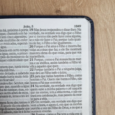 image_55234053-127e-4146-a5bc-912007918887