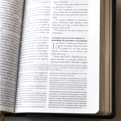 image_0cabb7f0-b36d-47f7-9a07-387da1a27d9d