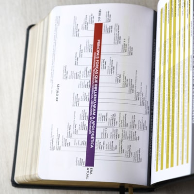 image_ec708662-efff-4ae5-b879-c367f297b836