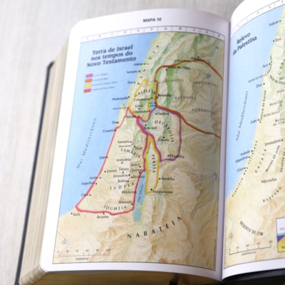 image_d57a387d-48ed-4299-bcd2-6f834ca8bea9