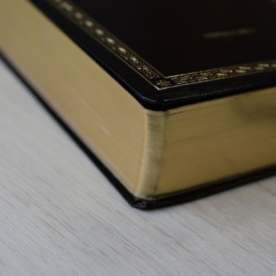 image_f0ed46e4-b784-4634-87e9-328886cfe779