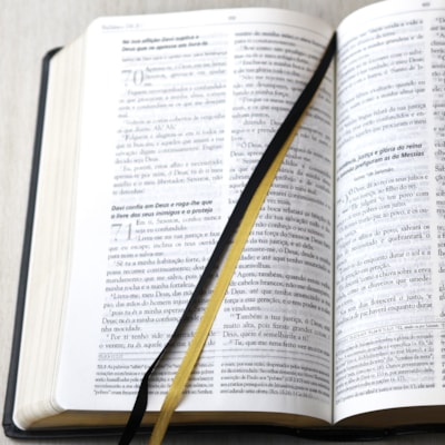 image_f080c4d9-a4bf-4700-b93c-df6b0de1e452