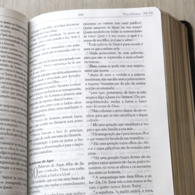 image_8c193cfe-e4b8-4b8b-9e09-4b4390a4017c