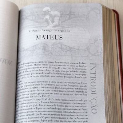 image_adeb1c46-b1b4-4860-b556-cdd5b746206c