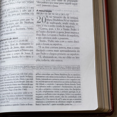 image_acb4c54b-5cdd-454f-a9b4-9a90ab6a3394