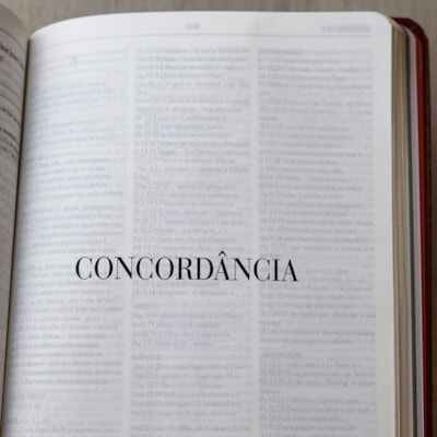 image_313177d4-383a-428e-966d-aca74d62544b