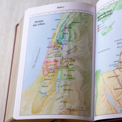 image_a9f5d5fe-1e06-4c29-bd65-766e2a5f0a60