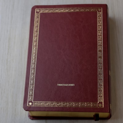 image_f09a38c9-b553-44ad-a97f-114c4fed7352