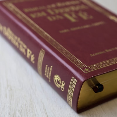 image_23da9dfd-20b2-4a20-8c05-91ca336b0ad3