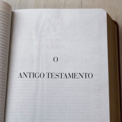 image_b61eb40c-bddc-4bd2-bc31-a32cc53066be