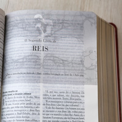 image_a5462663-9fb3-47a5-b160-020c5aacd328