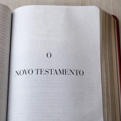 image_110e1e2c-10bc-411f-ac58-208afc2c3396