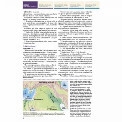 image_b86fef9f-18f6-43f9-9775-f62b93c1f4d5