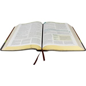 Bíblia de Estudo em Ordem Cronológica Aplicação Pessoal | ARC | Letra Normal | Capa Couro Marrom/Verde Luxo