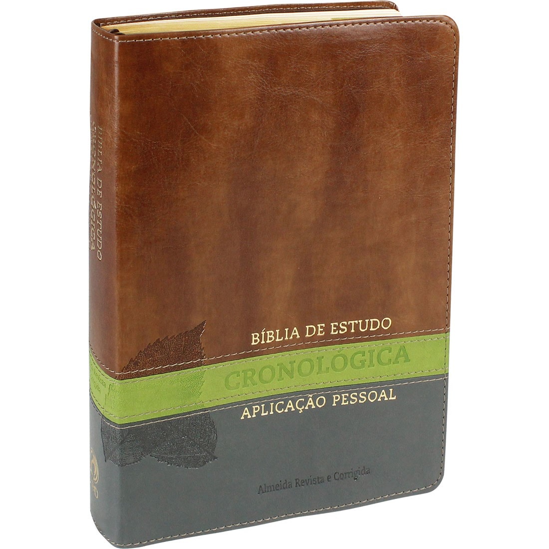 Bíblia De Estudo Em Ordem Cronológica Aplicação Pessoal | ARC | Letra ...