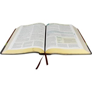 Bíblia de Estudo em Ordem Cronológica Aplicação Pessoal | ARC | Letra Normal | Capa Marrom Claro/Escuro