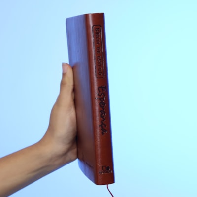 image_28a4bf09-8680-409e-a8eb-043c6267f8ca