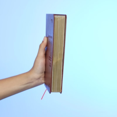 image_a371c823-d455-4344-bed3-71884d594596