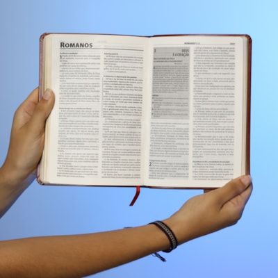 image_e88705f7-4486-4c91-92ac-37f1c7304730