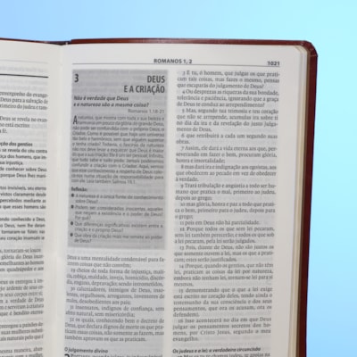 image_aa208c98-9684-473a-aebe-5bfa12b50a75