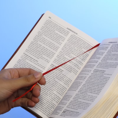 image_aed74e80-6a20-4903-af11-f26bd1fd010f