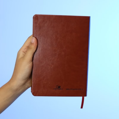 image_5907b965-fff4-436a-97ee-71053265b008