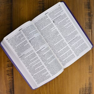 Bíblia de Estudo Esperança | A21 | Letra Normal | Capa Lilás