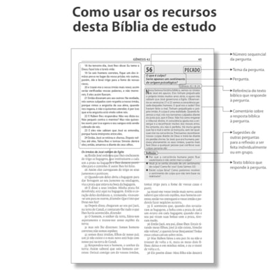 image_80a0abd6-8adc-4282-b5f0-d690f5ab81d7