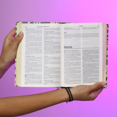 image_075bbbb5-8b42-45dc-a917-2476c6a7de0f