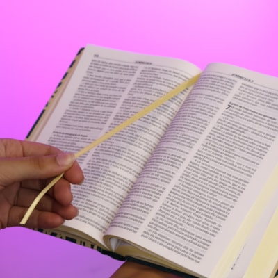 image_ce275d68-abe9-4c6c-8f2e-5b5a92c7adce