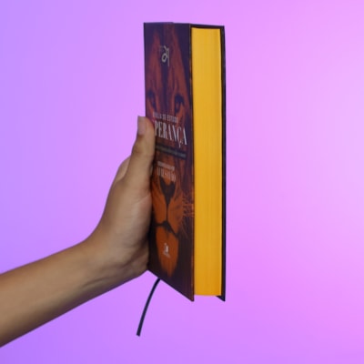 image_870f6f35-3664-43f0-bc09-03e4f2778150